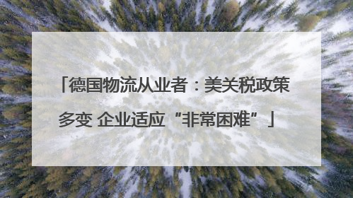 德国物流从业者：美关税政策多变 企业适应“非常困难”